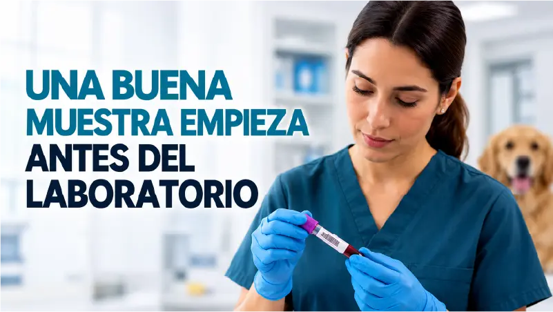Una buena muestra empieza antes del laboratorio